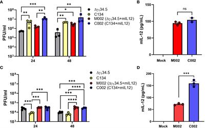 Enhanced IL-12 transgene expression improves oncolytic viroimmunotherapy